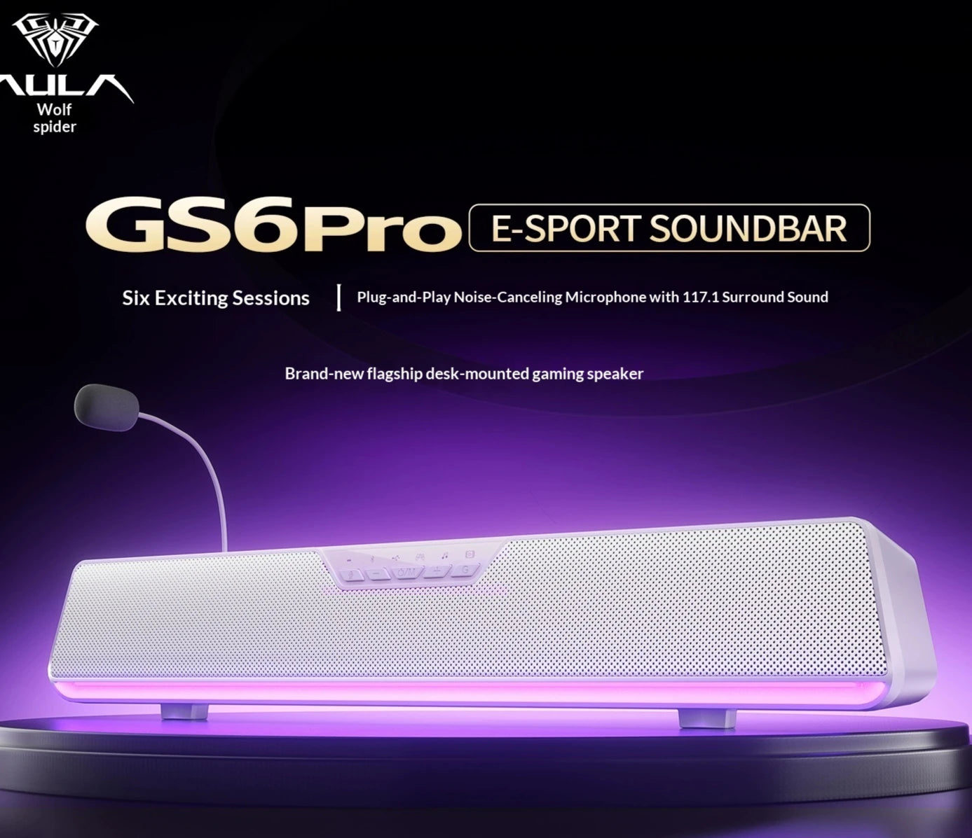 AULA GS6Pro Desktop Speaker.